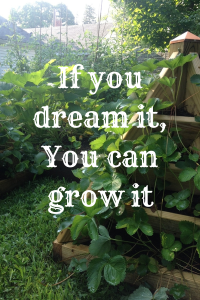 If you dream it,You can grow it